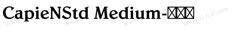 CapieNStd Medium字体转换